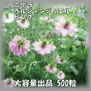 送料無料 ニゲラ/クロタネソウ ペルシャンジュエル ピンク 大容量出品 500粒 花の種 2023年採種 2023551