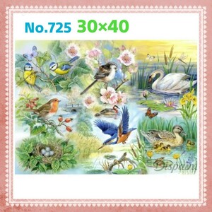 ダイヤモンドアートキット No.725★四角 スクエアビーズ★30×40cm★ダイアモンドアート★鳥 野鳥 イラスト パステル 白鳥