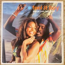 feel it boy/beenie man feat.Janet/レコード/中古/DJ/CLUB/ジャネット・ジャクソン/reggae_画像1