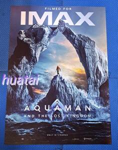 映画 アクアマン 失われた王国 ジェイソン・モモア IMAX A3告知ポスター