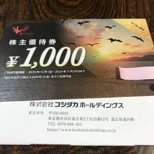 コシダカホールディングス 株主優待券１００００円分（１０００円券×１０枚です。 