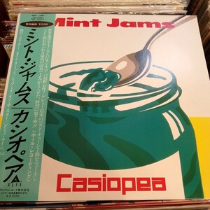 カシオペア Casiopea ミント ジャムス レコード 帯付