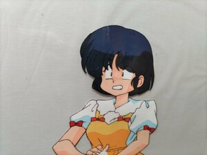  Ranma 2/1 cell picture heaven road ...A16 animation attaching 