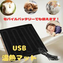 USB 温熱 マット アウトドア キャンプ 犬 猫 赤ちゃん 防寒 保温 _画像1