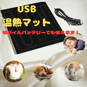 USB ヒーター パッド 電気 ペット 温熱 ホット マット パット 防寒