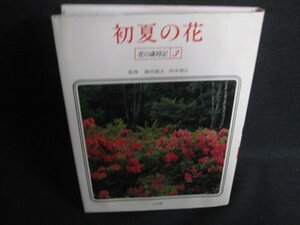 初夏の花　花の歳時記3　シミ日焼け有/RFD