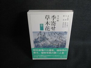 季寄せ-草木花　冬　日焼け有/SDI