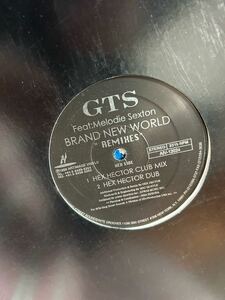 GTS-BRAND NEW WORLD REMIXES 12インチ