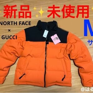 The North Face x GUCCI ダウン ヌプシ　663757