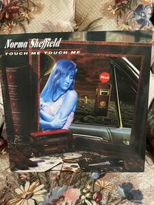 12インチ！哀愁ユーロビートの最高峰！Norma Sheffield Touch Me Touch Me A.Beat-C ユーロビート