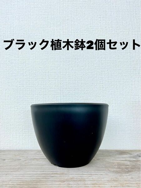 新品　ブラック植木鉢2個セット　Agave鉢　プランツ鉢
