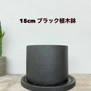 オシャレ　アイアンブラック植木鉢　受け皿付