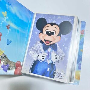 東京ディズニーリゾート　ポストカード　71枚セット