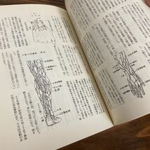 経絡の本体 石井陶泊 日本発生鍼灸医学会 鍼灸医学 東洋医学 経穴 東洋医学_画像9