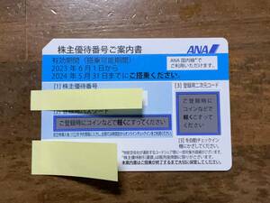 【番号通知のみ】1枚 ANA株主優待 全日空 2024年5月31日まで 【最短１０分で番号通知】 格安航空券国内50%off 運賃半額 飛行機 優待割引券