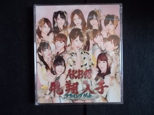 ■AKB48　フライングゲット　Type-B　