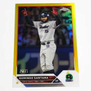 Topps Chrome 2023 NPB ヤクルト サンタナ 75枚限定 Yellow Refractor レギュラーパラレル カード No.119