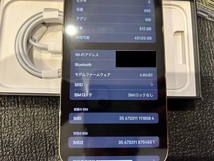 新品同様 iPhone 12 Pro Max バッテリー100％ 香港版 SIMフリー　512GB 物理デュアルSIM対応　シャッター音なし ゴールド Gold Dual sim_画像6