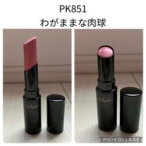 VISEE ヴィセ ネンマクフェイクルージュ PK851 わがままな肉球 口紅 リップ