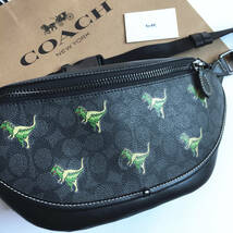 ☆新品☆コーチ/COACH バッグ CF078 レキシー ベルトバッグ ウエストバッグ ボディーバッグ クロスボディー アウトレット品_画像2