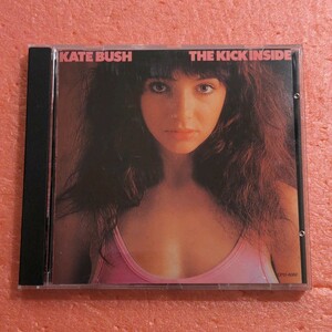 CD 国内盤 ライナー 歌詞対訳付 ケイト ブッシュ 天使と小悪魔 KATE BUSH THE KICK INSIDE 