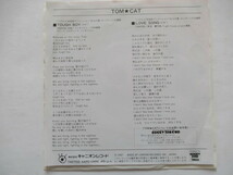 TOUGH BOY / LOVE SONG　　トム・キャット　「北斗の拳」オープニング主題歌　タフ・ボーイ_画像2