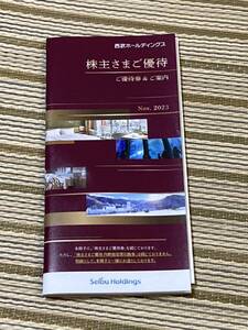 西武★株主優待券 1000株★内野指定席引換券★優待冊子 1冊 株主優待★西武鉄道★プロ野球★スキー★スノボー★