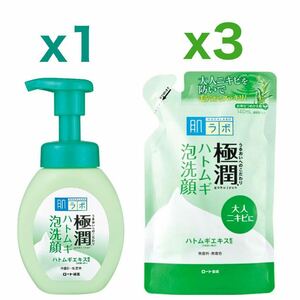 【本体x1、詰替x3】ロート製薬 肌ラボ 極潤 ハトムギ泡洗顔