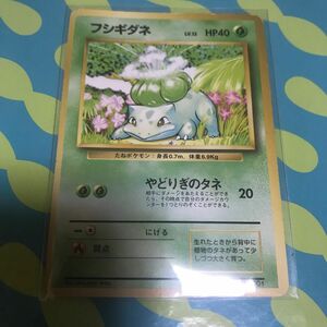 ポケモンカード 旧裏面 マークなし フシギダネLV