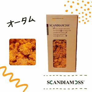 スカンディアモス SCANDIAMOSS オータム 50ｇ ディスプレイ 苔 モス 天然素材 オレンジ 調湿調節