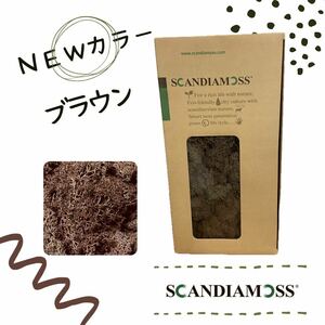 スカンディアモス SCANDIAMOSS ブラウン 茶色 50ｇ ディスプレイ 苔 モス 天然素材