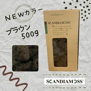 スカンディアモス SCANDIAMOSS ブラウン500ｇ ディスプレイ 苔 モス 天然素材 茶色 メンテナンスフリー