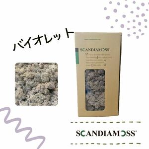 プリザーブド ヴェルディッシモ アイスランドモス小袋 50ｇ バイオレット 50g バイオレット 13307 プリザーブドグリーン モス 苔