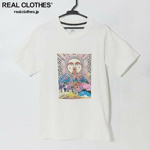 ☆Nike SB/ナイキエスビー Heavy WT Graphic S/S Tee Shirt QS2 半袖Tシャツ DD8463-100/XS /LPL