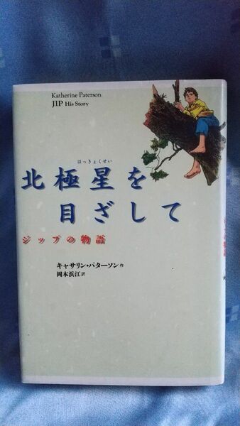 北極星を目ざして　ジップの物語 キャサリン・パターソン／作　岡本浜江／訳