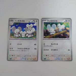 ポケモンカード/ポケカ/Pokemon Cards/イッカネズミ/ワッカネズミ/sv4a/シャイニートレジャーex/キラ/2枚/美品/良品/中古品/