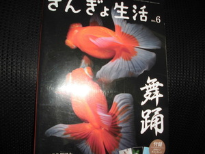 ■きんぎょ生活 no.6■月刊アクアライフ増刊 金魚 難あり