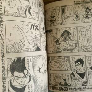 週刊少年ジャンプ1995年1号ドラゴンボール スラムダンク ドラゴンクエストダイの大冒険 ろくでなしブルースジョジョの奇妙な冒険 /A11の画像6