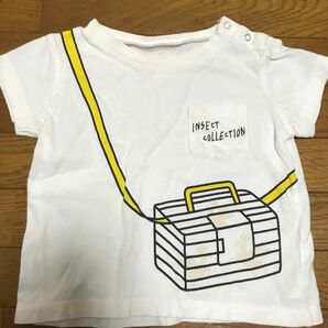 インセクトコレクション　かまきり　半袖　シャツ Tシャツ 白 ホワイト　NHK 教育番組　虫かご