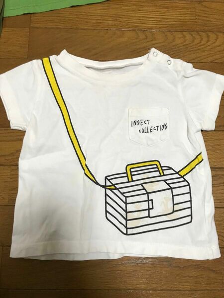 インセクトコレクション　かまきり　半袖　シャツ Tシャツ 白 ホワイト　NHK 教育番組　虫かご
