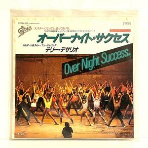 EP オーバーナイト・サクセス テリー・デサリオ epic レコード Over Night Success k2401257