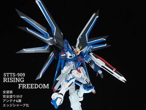 HG 1/144 ライジングフリーダムガンダム 翼&アンテナエッジシャープ化　全塗装　完成品　ライジングフリーダム