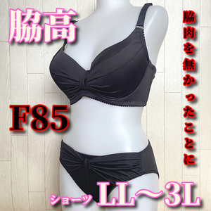F85LL-3L☆脇肉を無かったことにするブラ 脇高 ホック3段3列 ブラ&ショーツ ブラック系 F862