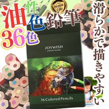 【送料無料】【匿名便発送】 36本入 色鉛筆 プレゼントなどに 孫 知育 ぬり絵 お絵描き えんぴつ 小学生 幼稚園 保育園 図工 色鉛筆 A02_画像5