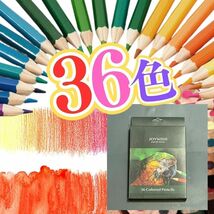 【送料無料】【匿名便発送】 36本入 色鉛筆 プレゼントなどに 孫 知育 ぬり絵 お絵描き えんぴつ 小学生 幼稚園 保育園 図工 色鉛筆 A02_画像4