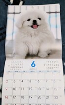 ラスト1点　2024年 壁掛けカレンダー 犬 ドッグ★令和6年 12ヶ月タイプ_画像3