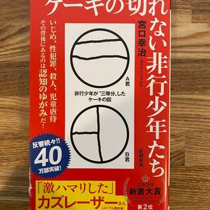 ケーキの切れない非行少年たち 宮口幸治