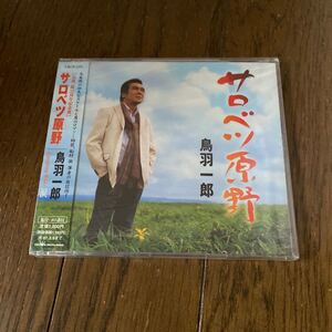 未開封品　デッドストック　倉庫保管品　CD 演歌　鳥羽一郎　サロベツ原野　涙　CRCN1270