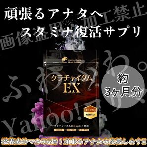 メンズ精力サプリ★エナジースタミナアップ！高品質クラチャイダム　シルトリン　ガラナ　黒大蒜　マカやトンカットアリを超える滋養成分！