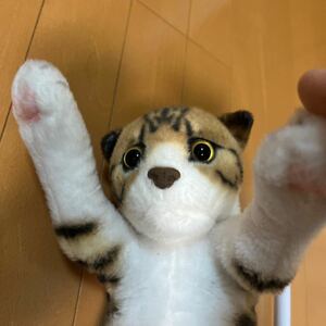 ぬいぐるみ ねこ 大きい　65センチ以上